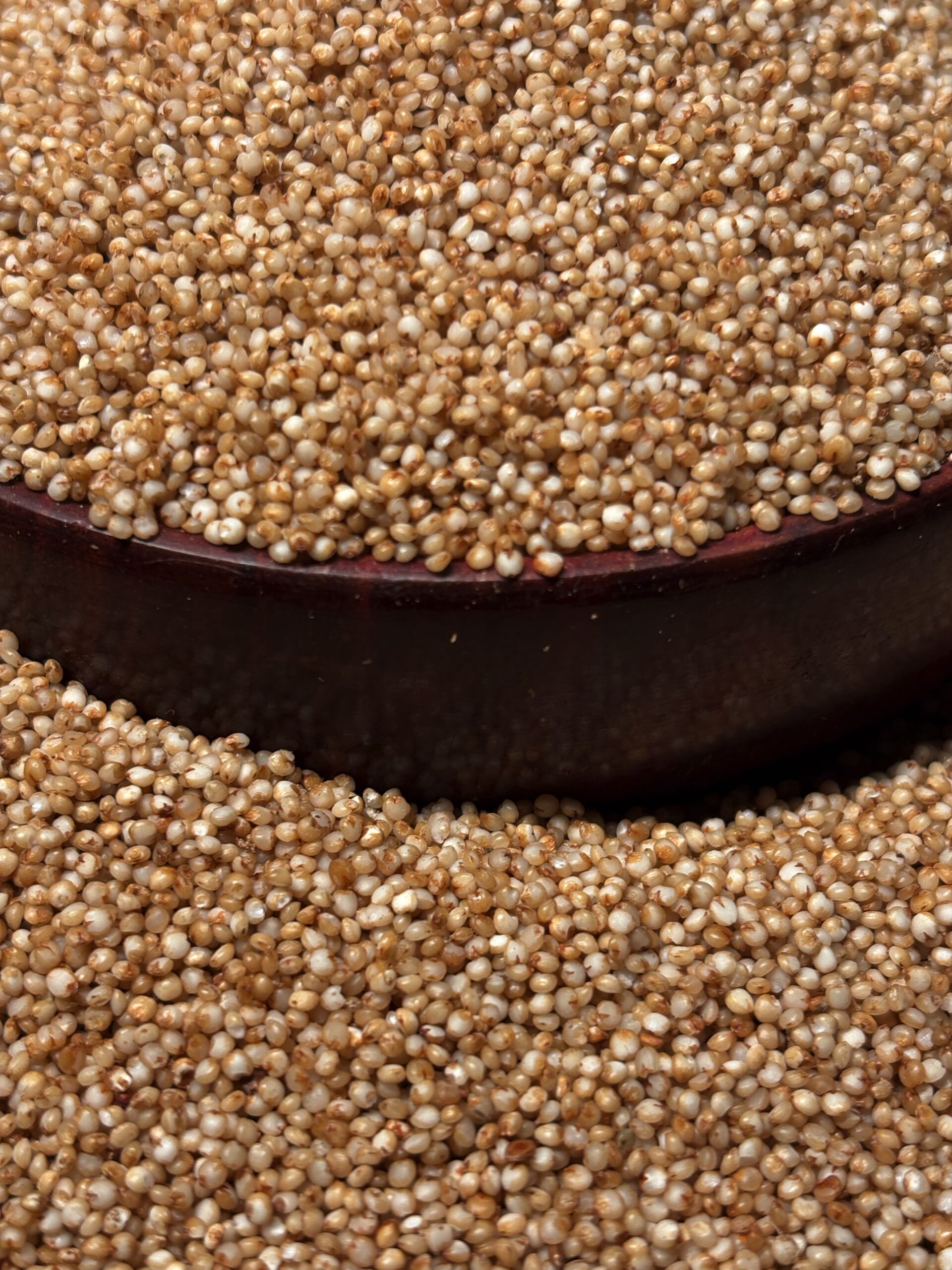 Little Millets 3